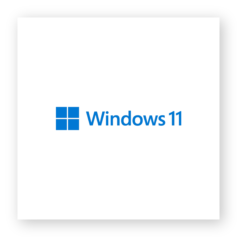 ‣ Windows 11