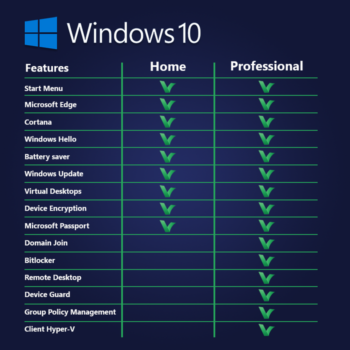 Windows 10 Professional - Elektronička licenca